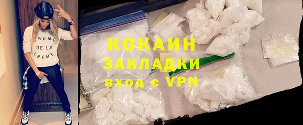 шишки Медногорск