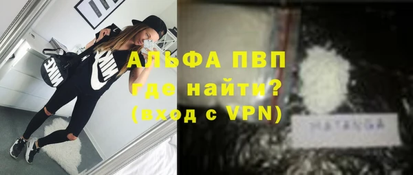 дмт Абаза