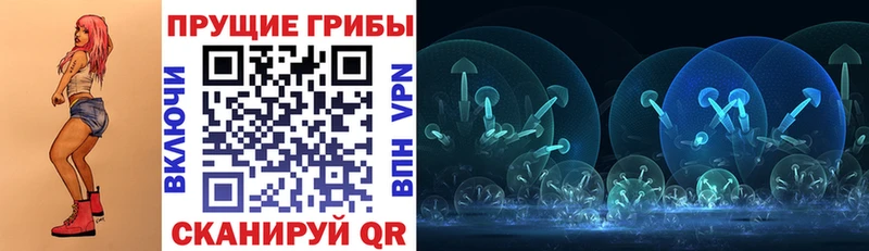 Псилоцибиновые грибы GOLDEN TEACHER  Балаково 